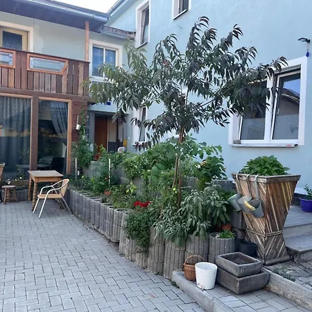 Apartment Antike Wohnmoeglichkeit Kurz Und Langfristig 100qm Erdgeschoss